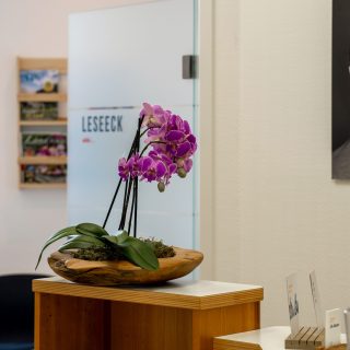 Empfang und Rezeption der Zahnarztpraxis Dr. Bauer